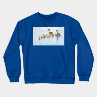 Family Afloat Canada Geese & Goslings No.1 Crewneck Sweatshirt